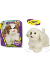 imagen FRR Perrito andarin