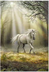 imagen Puzzle 1000 Unicornio, Anne Stokes