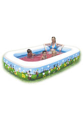 imagen Piscina hinchable 269x175x51cm. MMCH