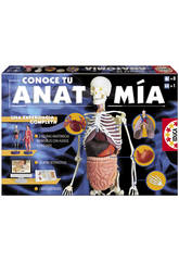 imagen Conoce tu anatomia