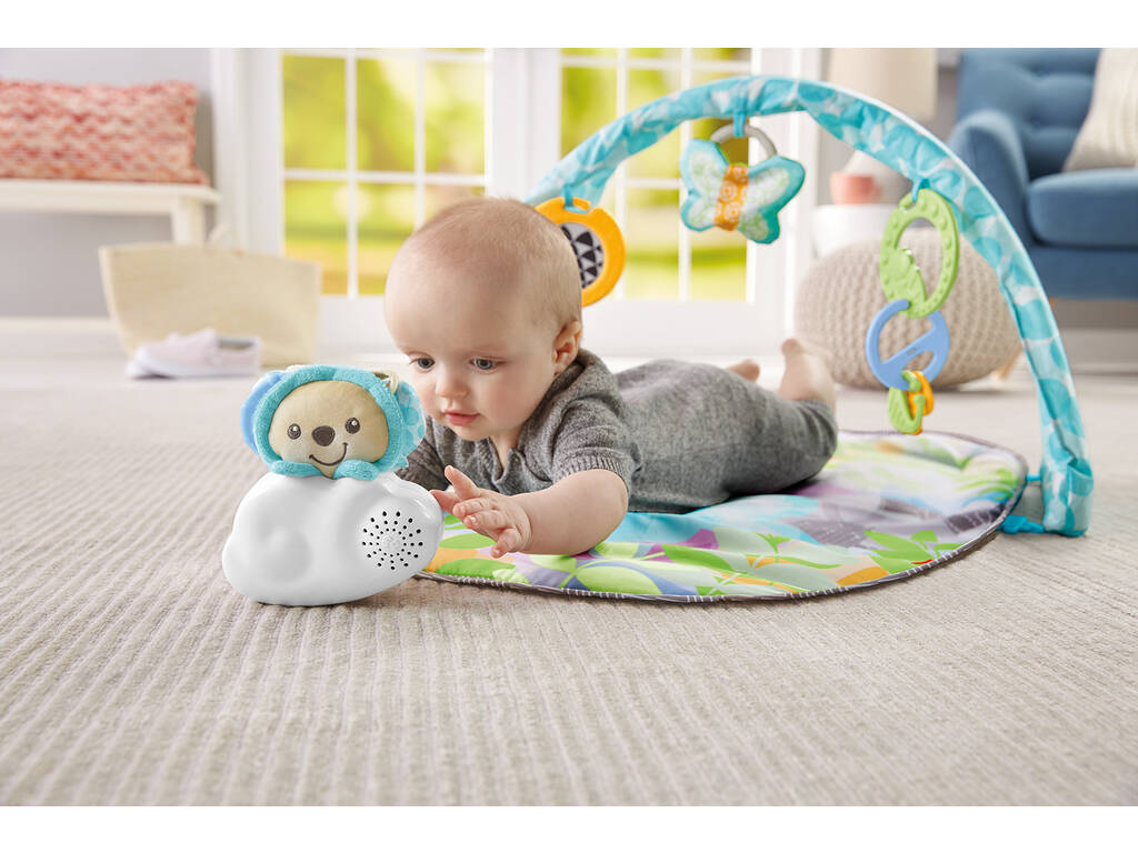 Fisher Price Tapis Doux Rêves Papillon Mattel DYW46