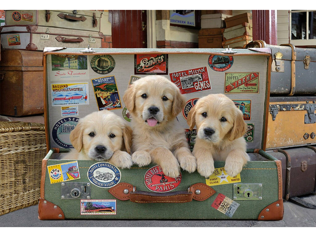 Puzzle 500chiots Dans Les Bagages 17645