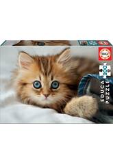 Puzzle 200 Chaton