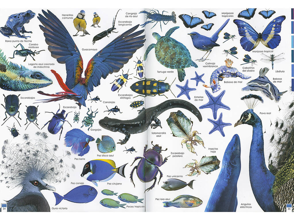 Libro Arcobaleno di Animali Susaeta Ediciones S2053999