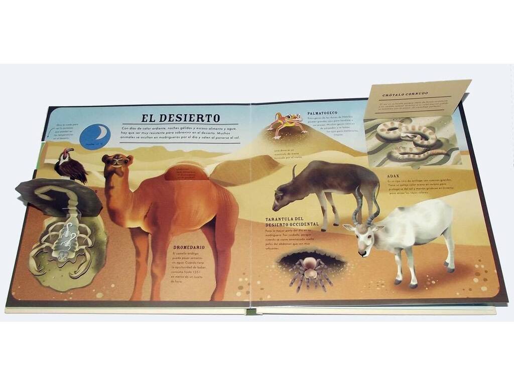 Our World Fauna An Interactive Atlas of Animals Susaeta S3340