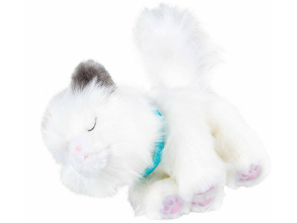 Little Live Pets Sleepy Kitty Famosa 700013975