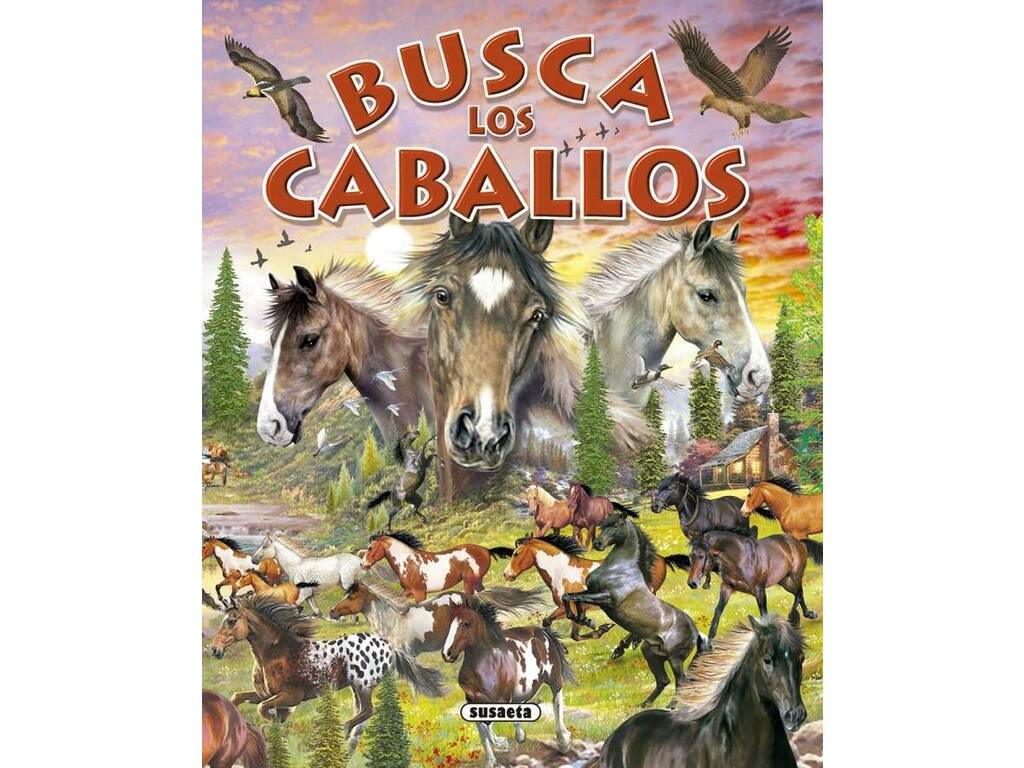 Livre Pour Enfants Cherche... Suesaeta S0070 