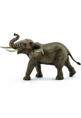 Afrikanischer Elefant Männlich