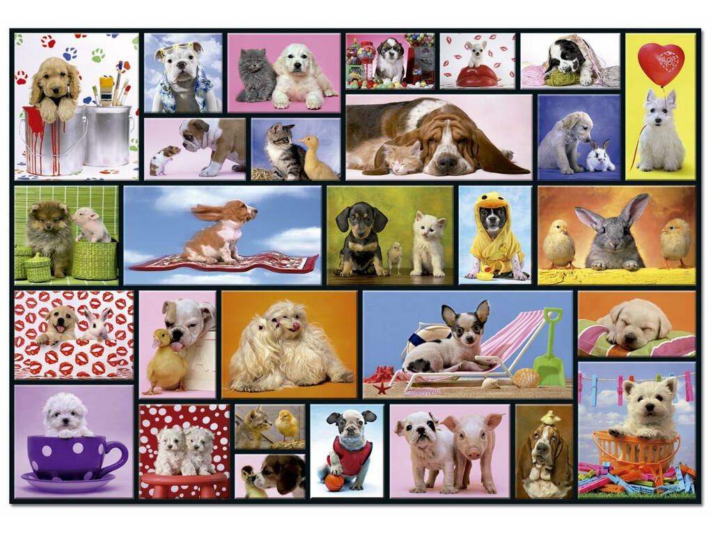 Puzzle 1000 Momenti Condivisi da 68x48 cm Educa 15518