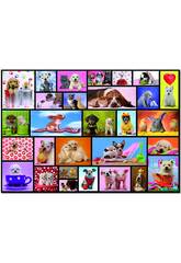 Puzzle 1000 Momenti Condivisi da 68x48 cm Educa 15518