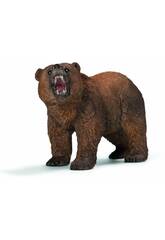 Orso Grizzly