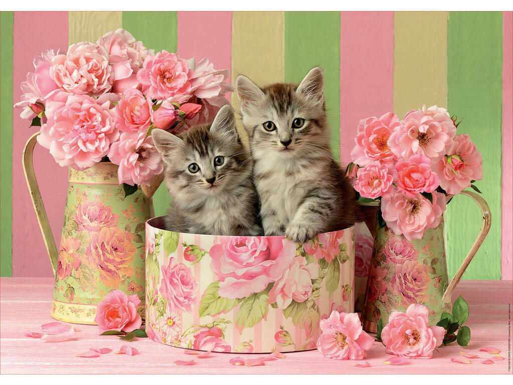 Puzzle 500 Gatinhos Com Rosas Educa 17960