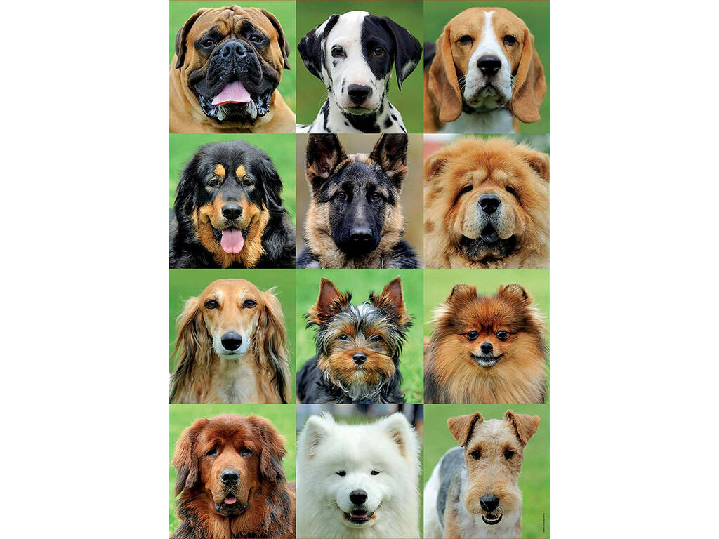 Puzzle 500 Collage De Cães Educa 17963