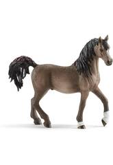 Stallone Arabo Schleich 13907