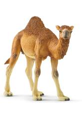 Dromadaire Schleich 14832