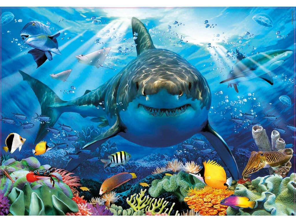 Puzzle 500 Grand Requin Blanc Educa 18478