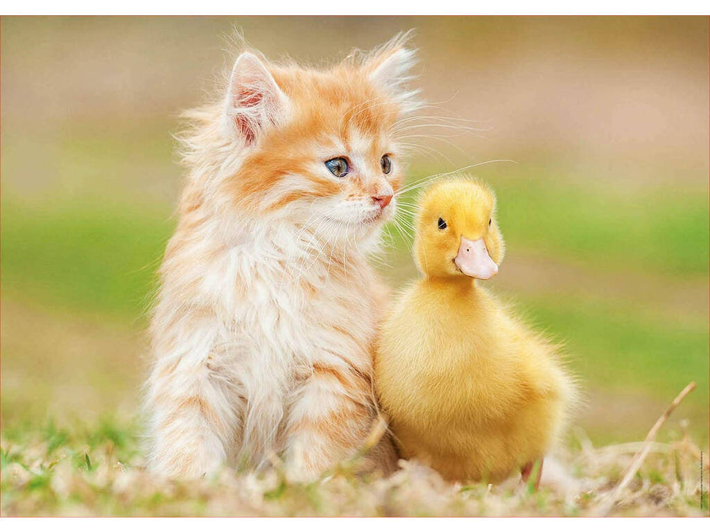 Puzzle 500 Amici Adorabili Educa 18467