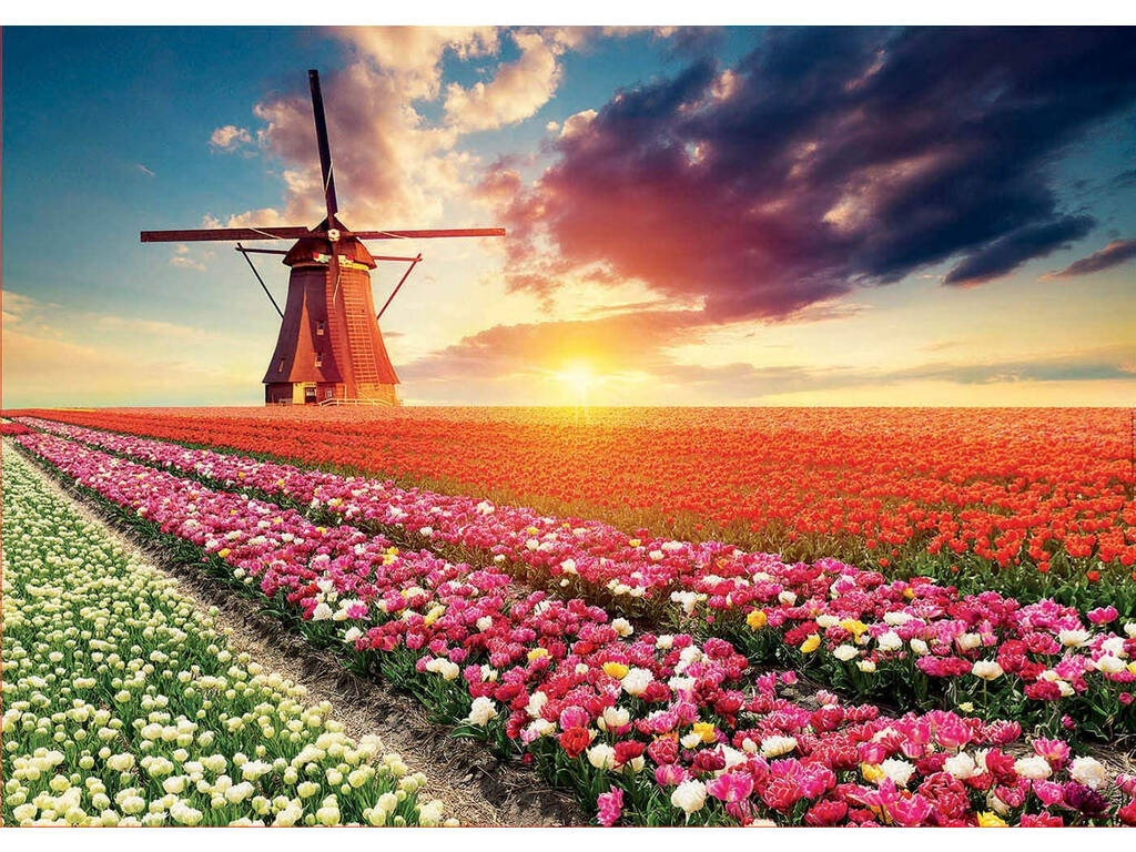 Puzzle 1500 Paysage avec des Tulipes Educa 18465