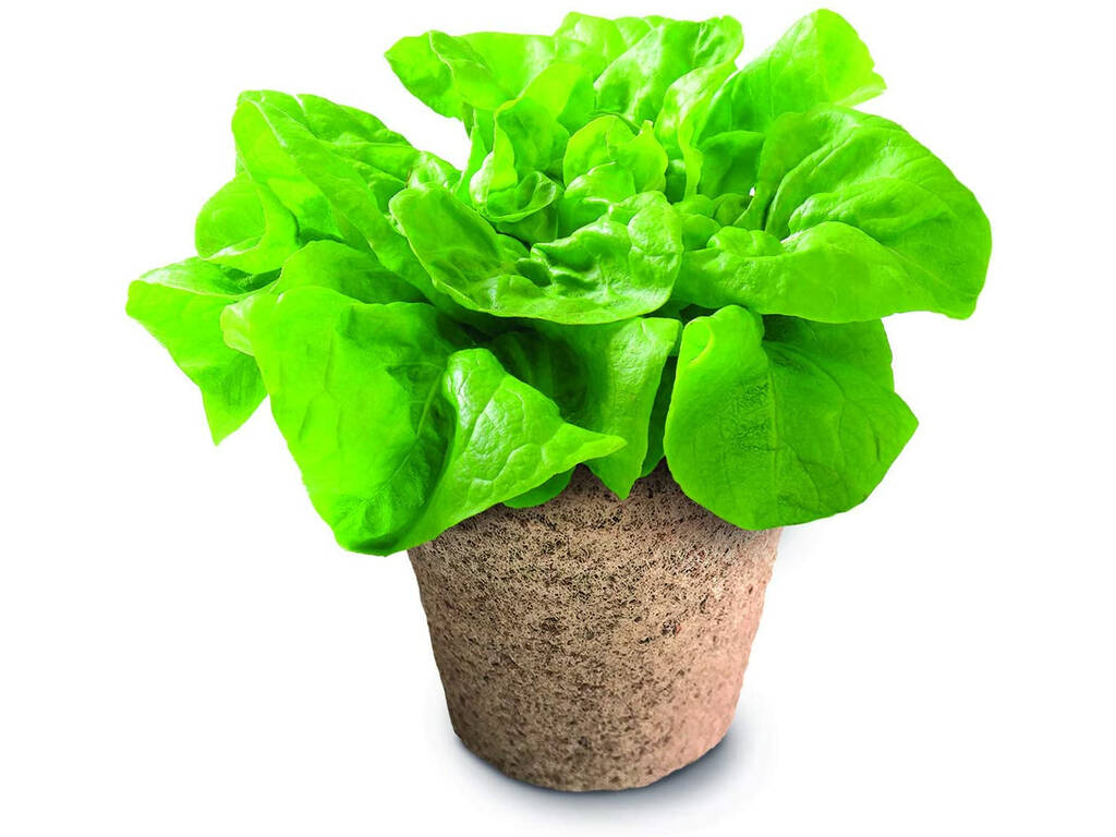 Serre Écologique Clementoni 55375