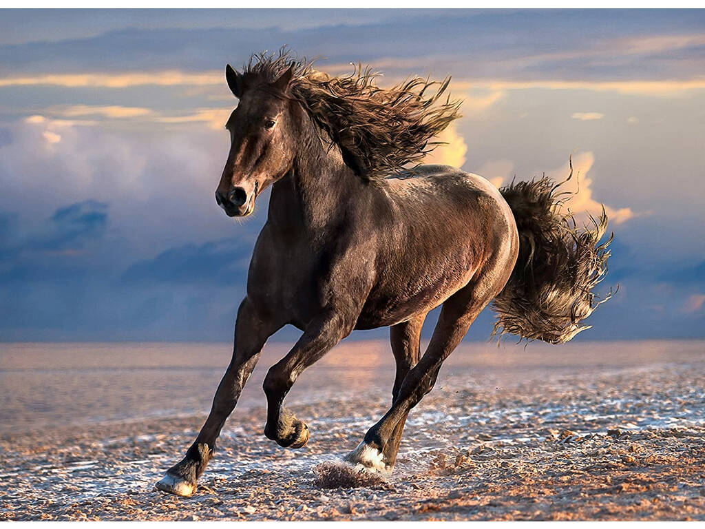Puzzle 1000 cavallo libero Clementoni 39420