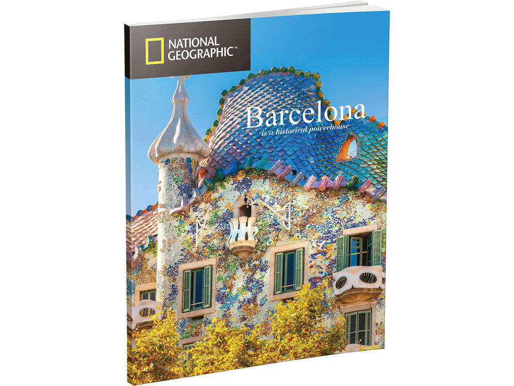 National Geographic Puzzle 3D La Sagrada Familia World Brands DS0984H
