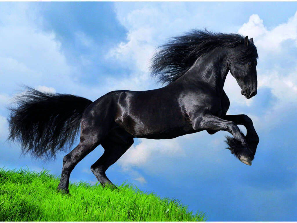 Puzzle 500 Cheval Noir Clementoni 35071