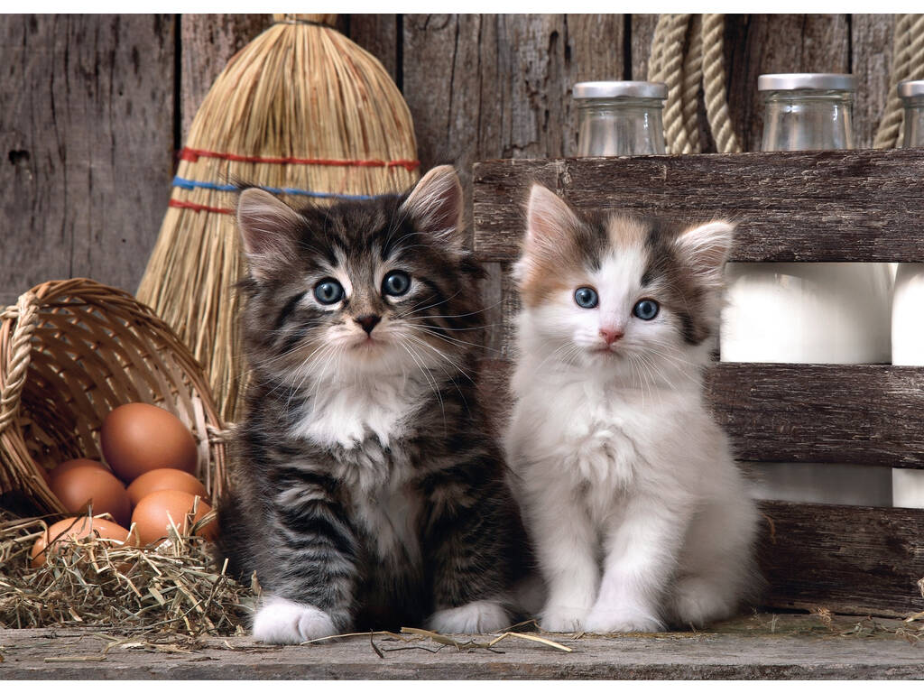 Puzzle 1.000 gattini Clementoni 39340