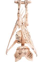 Skelettfledermaus