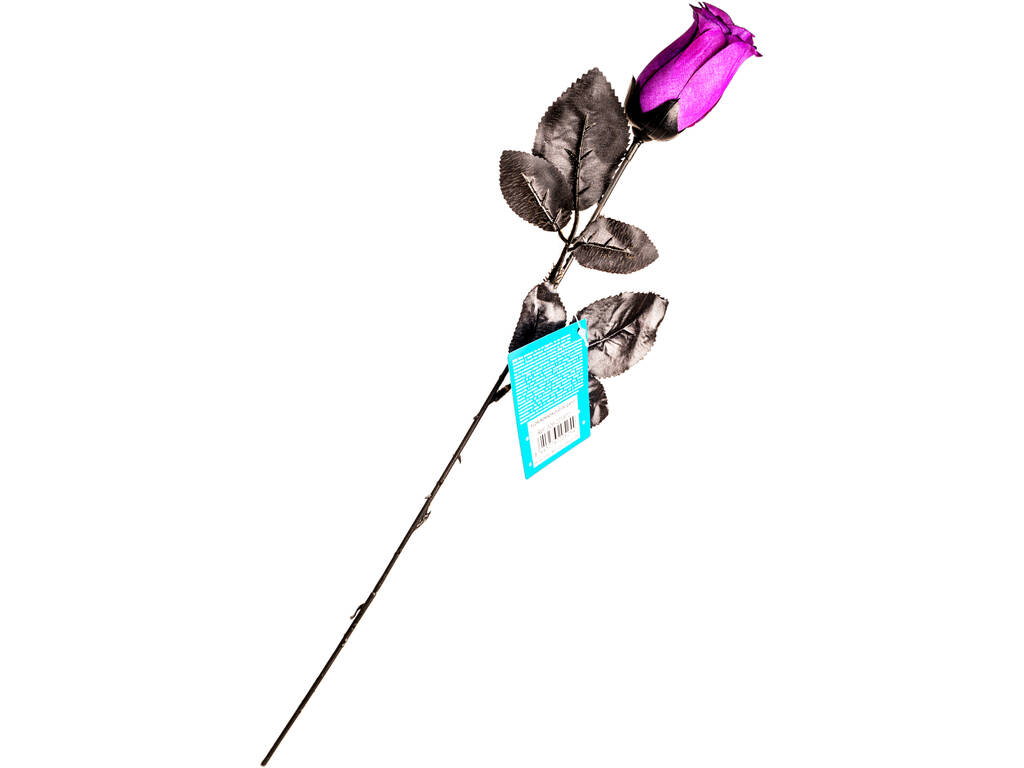 Fleur Violette Oeil Vert de Chat
