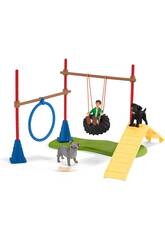 Schleich Canine Fun 42536