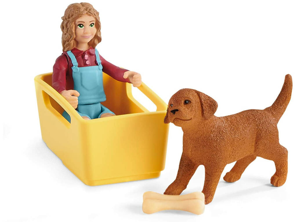 Passeggiata in carriola Schleich 42543