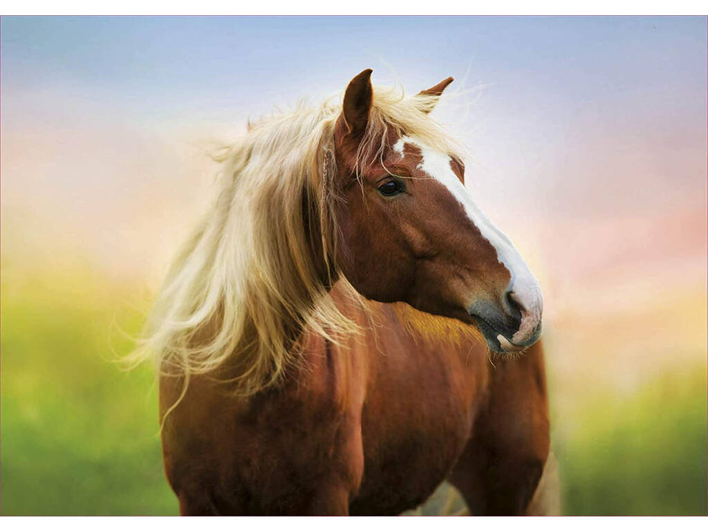 Puzzle 500 Cavallo all'alba Educa 19000