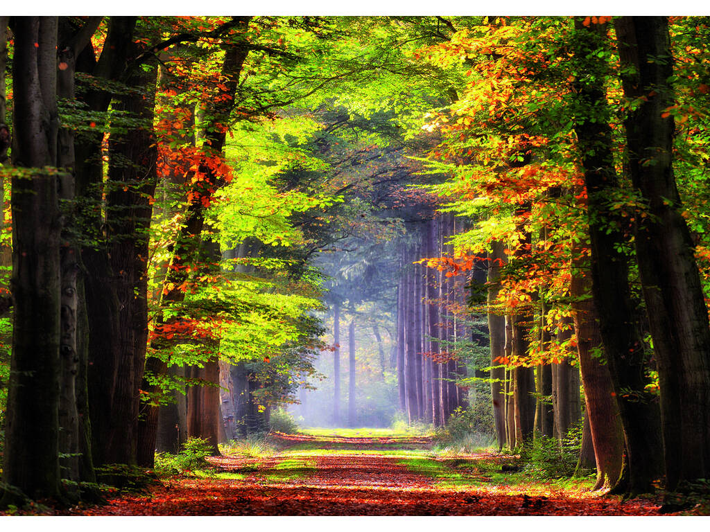 Puzzle 1000 autunno passeggiata Educa 19021