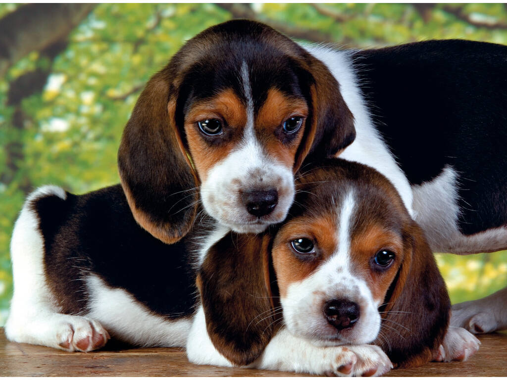 Puzzle 500 cani insieme Clementoni 30289