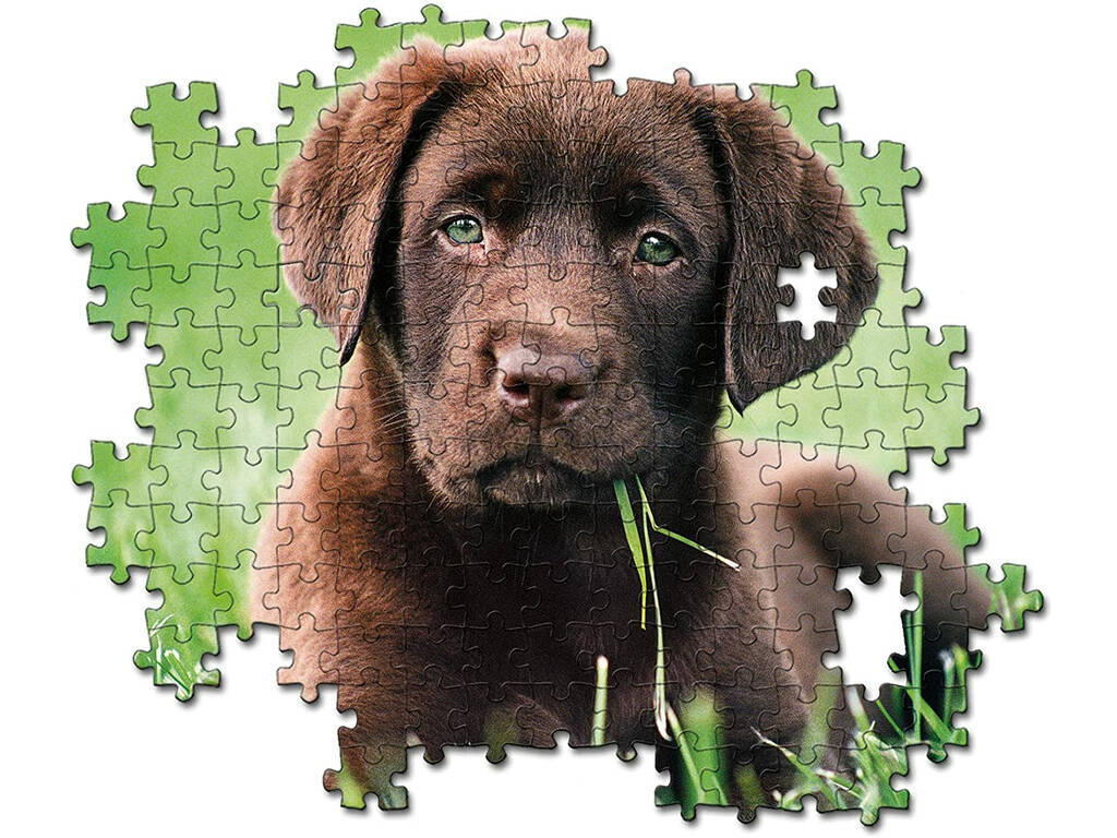 Puzzle 500 Perrito Chocolate Clementoni 35072