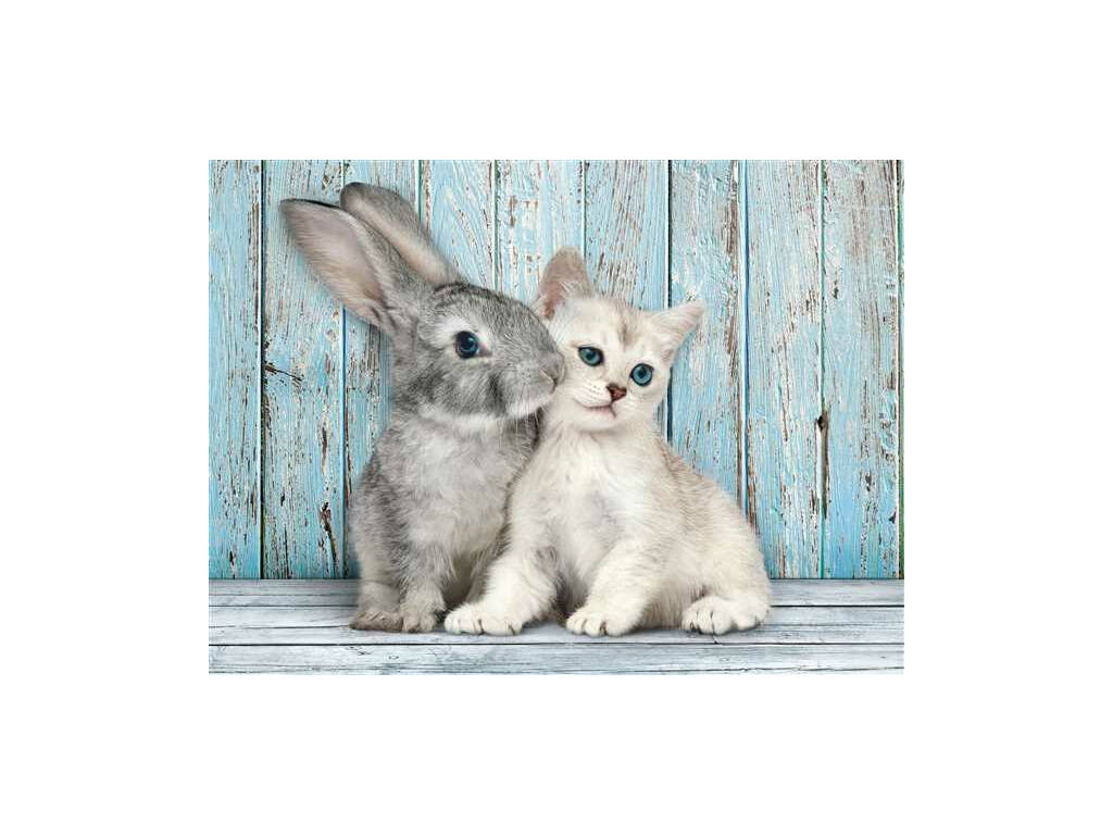 Puzzle 500 Gatto & Coniglio Clementoni 35004