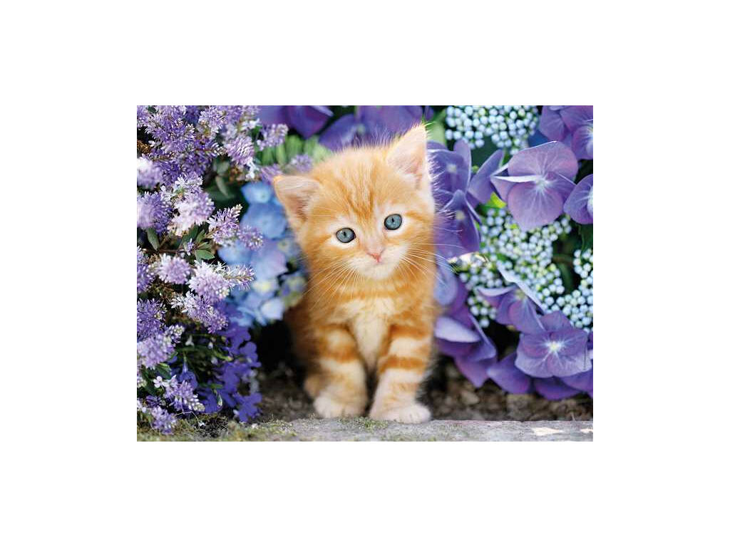 Puzzle 500 Gato Rubio Clementoni 30415