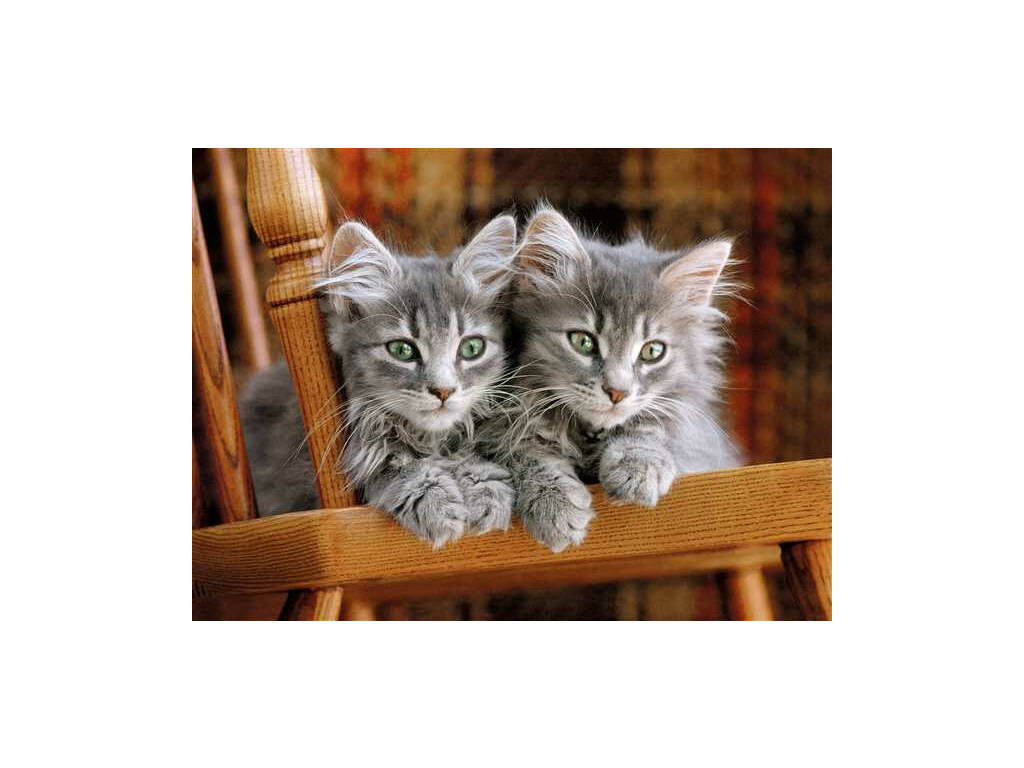 Puzzle 500 Chatons Clementoni 30545