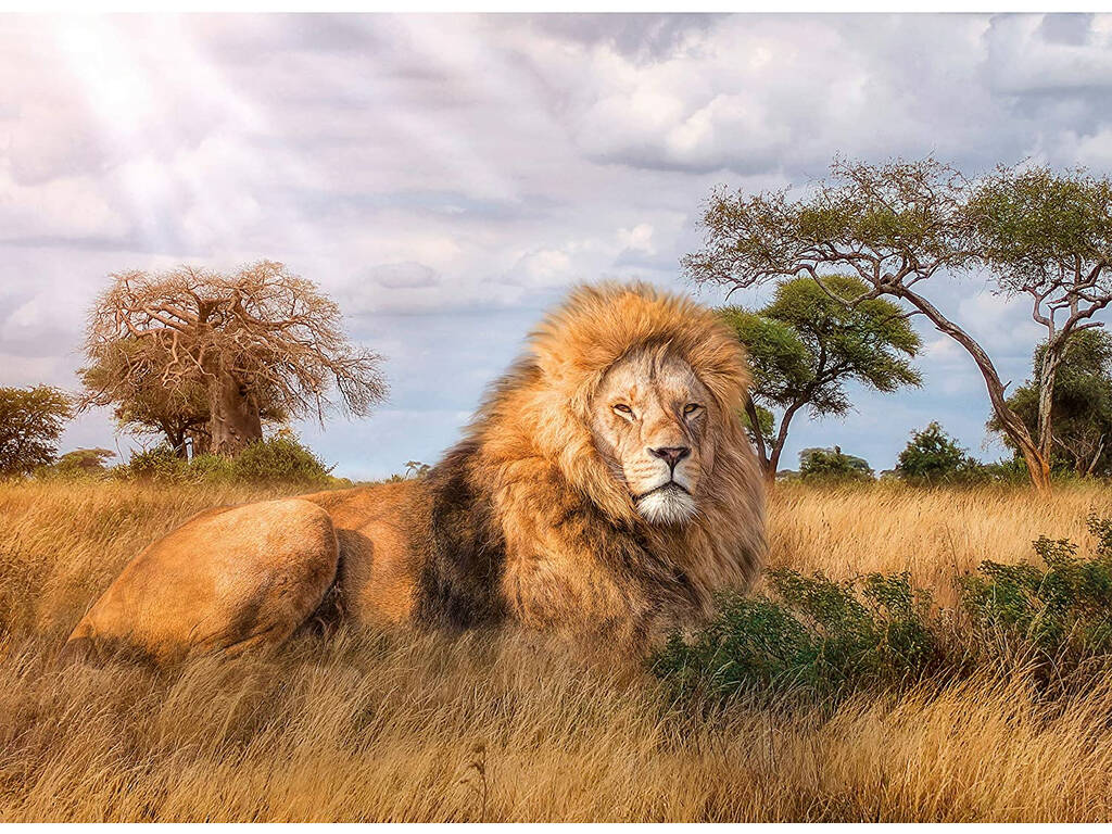 Puzzle 1000 Le Roi Clementoni 39479