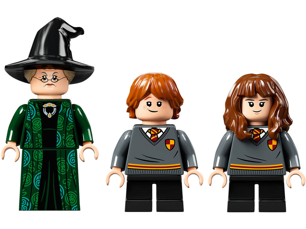 Harry Potter Poudlard Le Cours de Métamorphose 76382