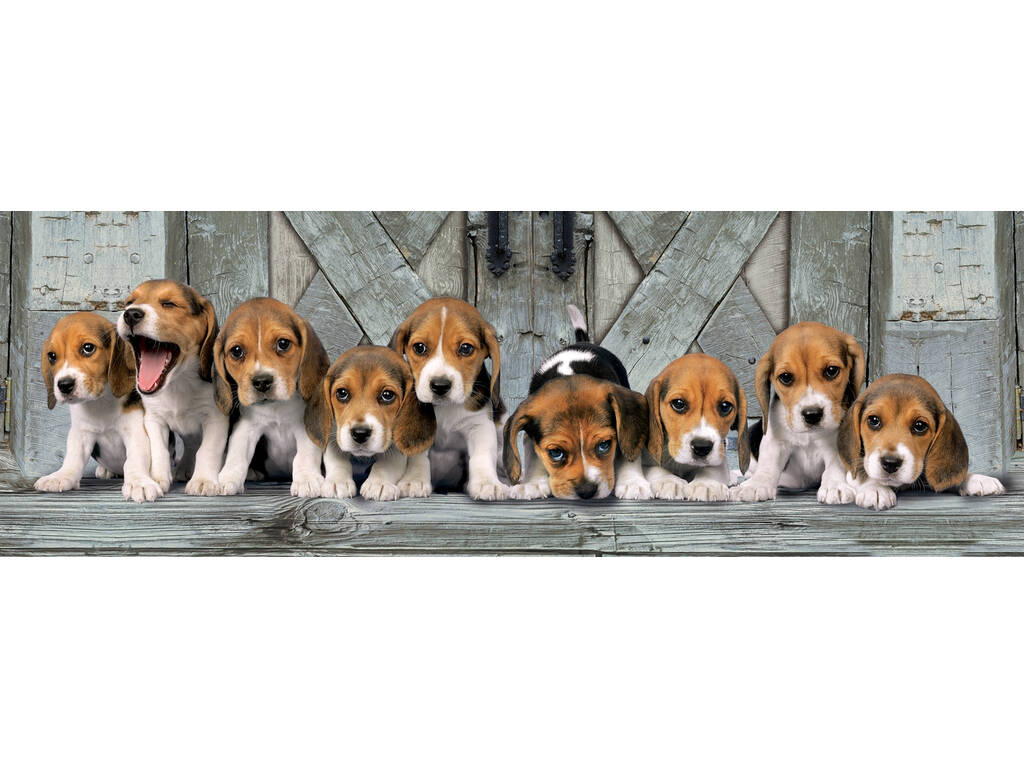 Puzzle 1000 Beagles Clementoni 39435