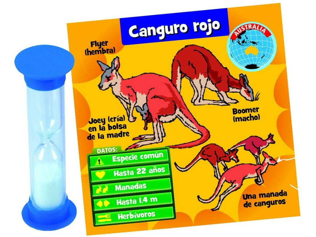 Brainbox Animali Asmodee TGG13403