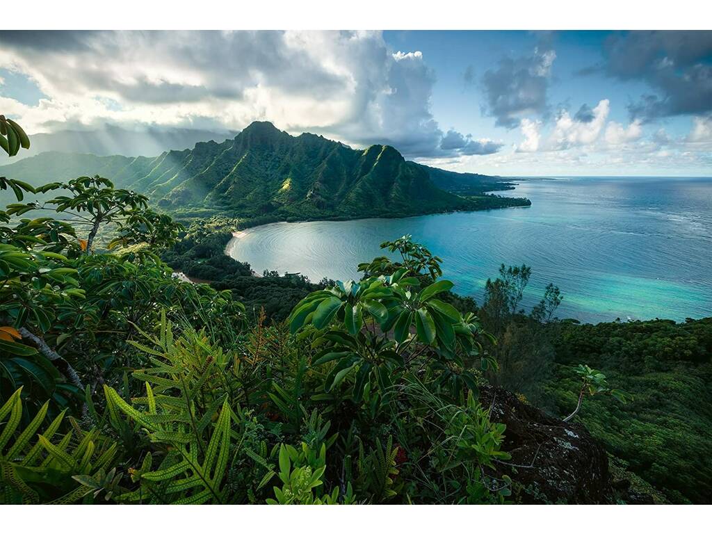 Ravensburger Casse-tête paysage hawaïen de 5 000 pièces 16106