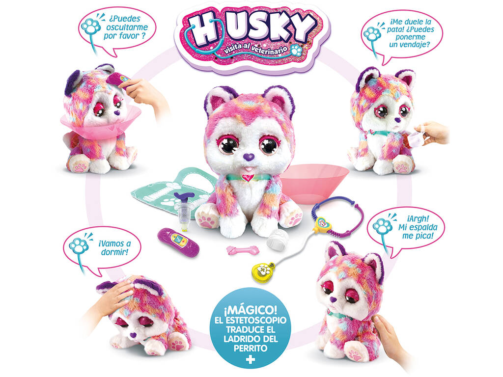 Chien husky en visite chez le vétérinaire Vtech 529722