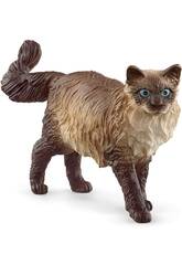 Gato Ragdoll Schleich 13940