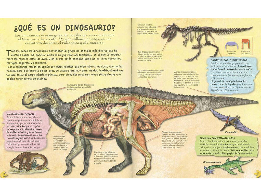 Esplora e impara l'era dei dinosauri Susaeta S2098003