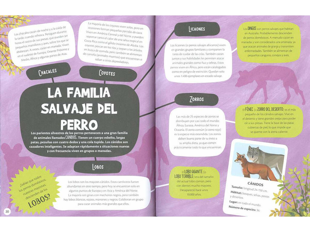 Planeta Amigo Animales Súper Héroes Susaeta S2107002