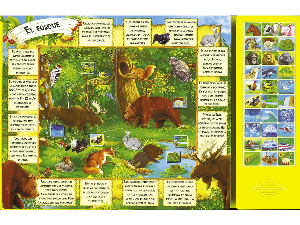 Livre Sons du monde Susaeta S3510999