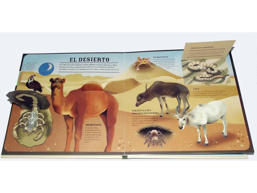Notre Monde Faune Susaeta S3512002