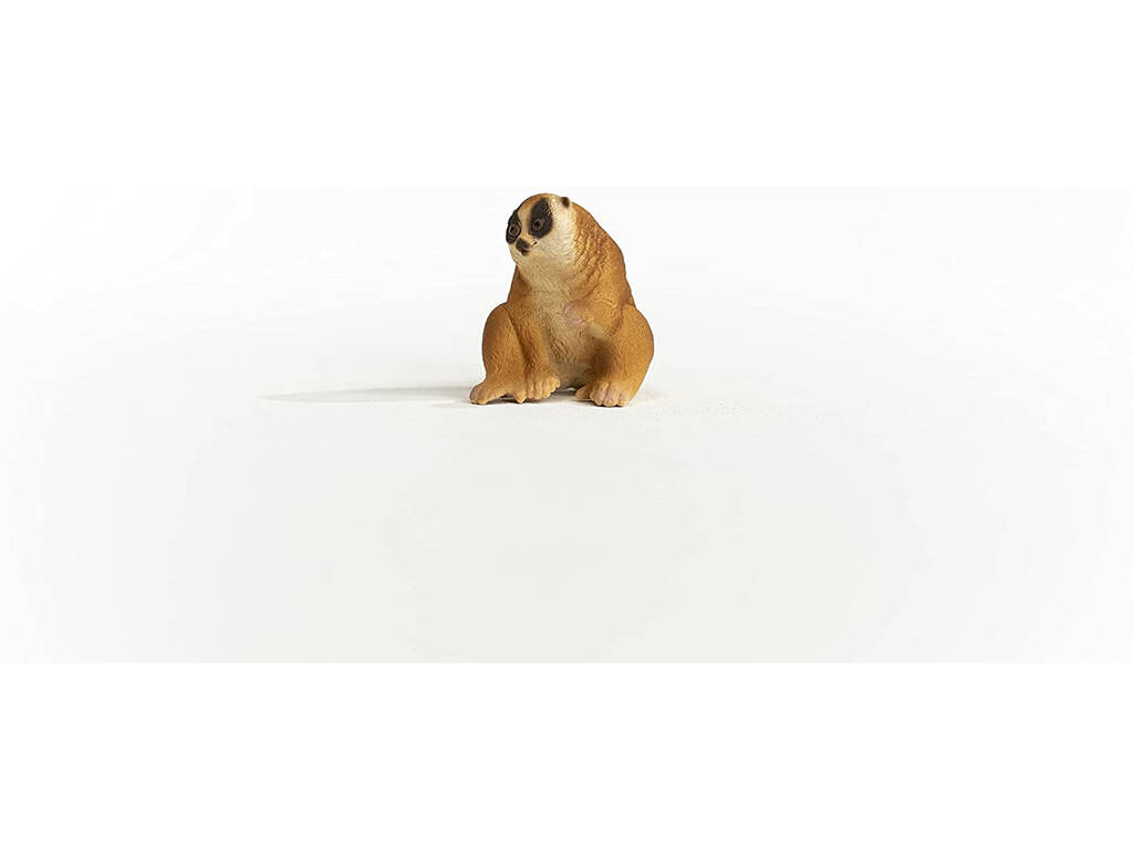 Lori Paresseux Schleich 14852